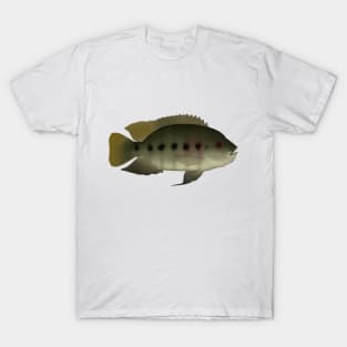 Spotted Tilapia T-Shirt